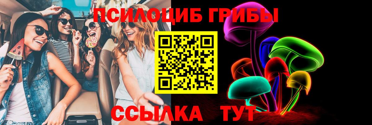 Галлюциногенные грибы прущие грибы  Вход с VPN  Печора 